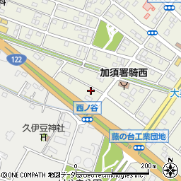 埼玉県加須市騎西13-6周辺の地図