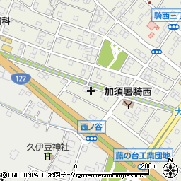 埼玉県加須市騎西12-9周辺の地図
