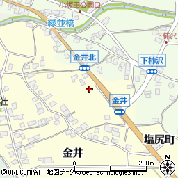 長野県塩尻市金井254周辺の地図