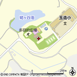 茨城県行方市玉造甲3180周辺の地図