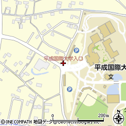 平成国際大学入口周辺の地図