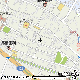 埼玉県加須市騎西24-10周辺の地図