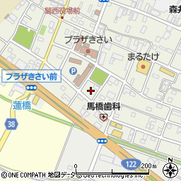 埼玉県加須市騎西33周辺の地図