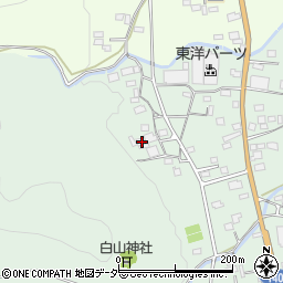 埼玉県秩父郡長瀞町長瀞187周辺の地図