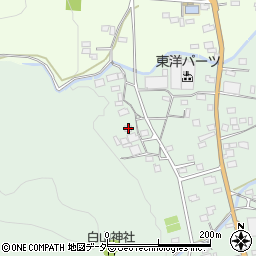 埼玉県秩父郡長瀞町長瀞191周辺の地図