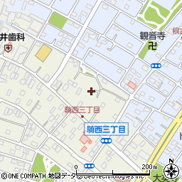 埼玉県加須市騎西1194-6周辺の地図