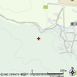 埼玉県秩父郡長瀞町長瀞1896周辺の地図