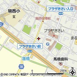 埼玉県加須市騎西39-10周辺の地図
