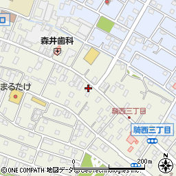 埼玉県加須市騎西1226周辺の地図