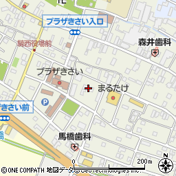 埼玉県加須市騎西35-1周辺の地図