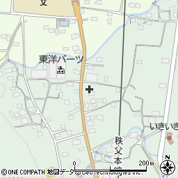 埼玉県秩父郡長瀞町長瀞126周辺の地図