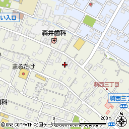 埼玉県加須市騎西1231周辺の地図