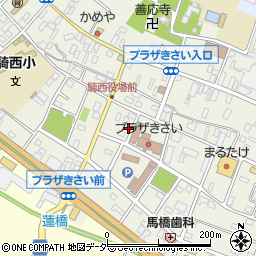 埼玉県加須市騎西40-11周辺の地図