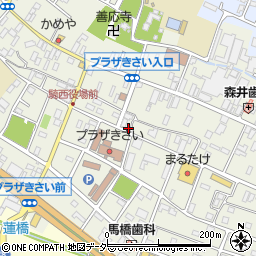 埼玉県加須市騎西224-2周辺の地図