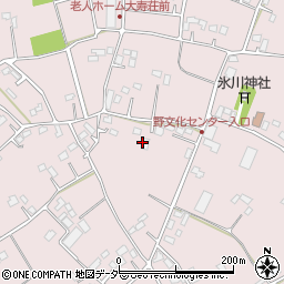 埼玉県行田市野周辺の地図