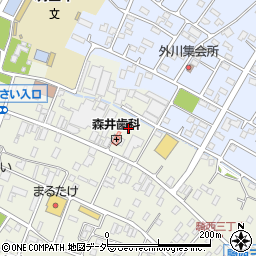 埼玉県加須市騎西1171-4周辺の地図