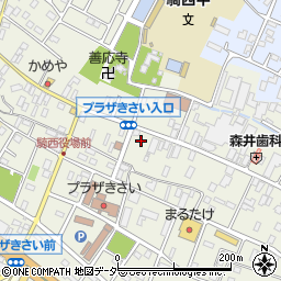 埼玉県加須市騎西1257周辺の地図