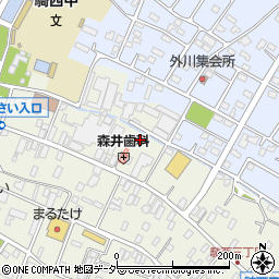 埼玉県加須市騎西1170-5周辺の地図