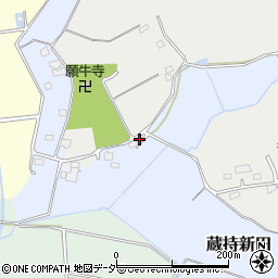 茨城県常総市蔵持新田127周辺の地図