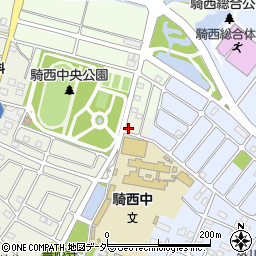 埼玉県加須市騎西987-24周辺の地図