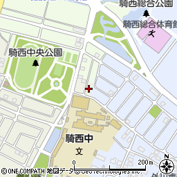 埼玉県加須市騎西987-17周辺の地図