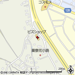 茨城県つくば市柴崎765周辺の地図