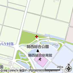 埼玉県加須市正能305周辺の地図