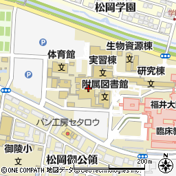 福井大学　松岡キャンパス周辺の地図