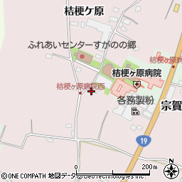 長野県塩尻市桔梗ケ原1315-1周辺の地図
