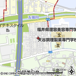 福井県永平寺町（吉田郡）松岡平成周辺の地図