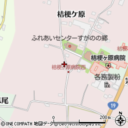 長野県塩尻市桔梗ケ原1298-307周辺の地図