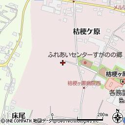 長野県塩尻市桔梗ケ原1298-171周辺の地図