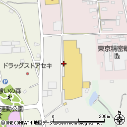 ホームジョイ本田石下店周辺の地図