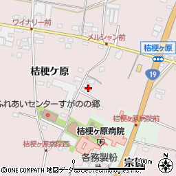 長野県塩尻市桔梗ケ原1298-557周辺の地図