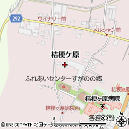長野県塩尻市桔梗ケ原1298-210周辺の地図