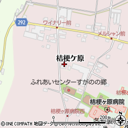 長野県塩尻市桔梗ケ原1298-425周辺の地図