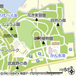 埼玉県農林公園周辺の地図