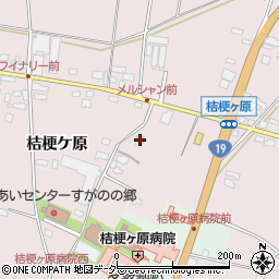 長野県塩尻市桔梗ケ原1298-80周辺の地図