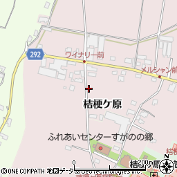 長野県塩尻市桔梗ケ原1298-97周辺の地図