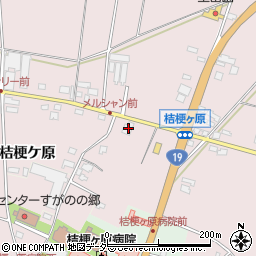 長野県塩尻市桔梗ケ原1300-4周辺の地図