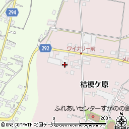 長野県塩尻市桔梗ケ原1298-450周辺の地図