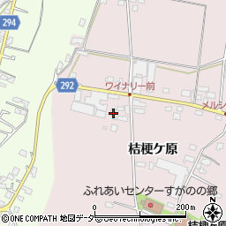 長野県塩尻市桔梗ケ原1298-552周辺の地図