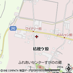 長野県塩尻市桔梗ケ原1298-443周辺の地図