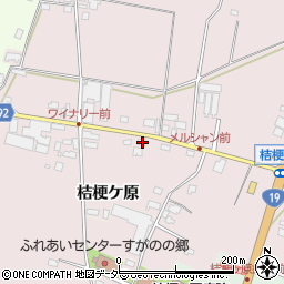 長野県塩尻市桔梗ケ原1298-370周辺の地図