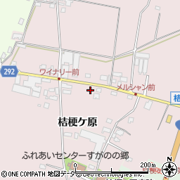 長野県塩尻市桔梗ケ原1298-473周辺の地図