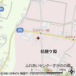 長野県塩尻市桔梗ケ原1298-15周辺の地図