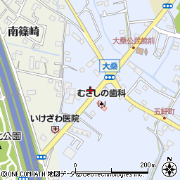 埼玉県加須市南大桑705-4周辺の地図