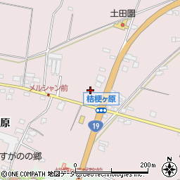 長野県塩尻市桔梗ケ原73-278周辺の地図