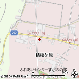 長野県塩尻市桔梗ケ原1298-173周辺の地図