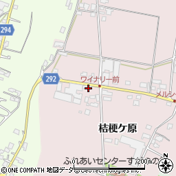 長野県塩尻市桔梗ケ原1298-504周辺の地図